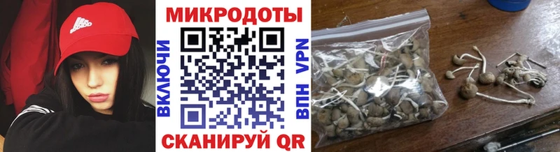 Галлюциногенные грибы Psilocybe  Копейск 